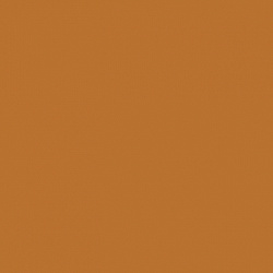 1036 6 Оранжевый