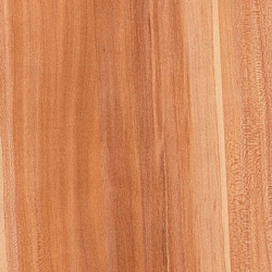 9741 Слива Валлис