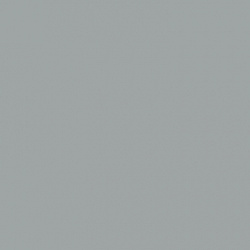 2756 Пепельный