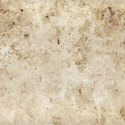 3a2f1093150a57cb1794f70154708439