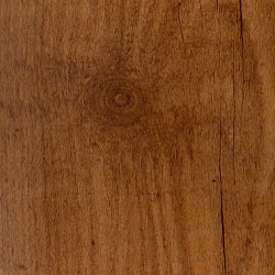 9114 Сосна Карельская