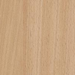 1666 N Бук Америка