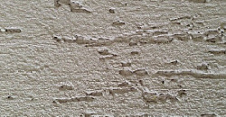 «Короед», «Кора дуба»