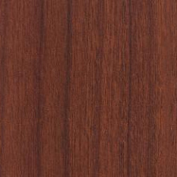 1609 SD Вишня павезе